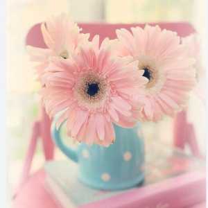 ریحانه سادات سیدصالحی