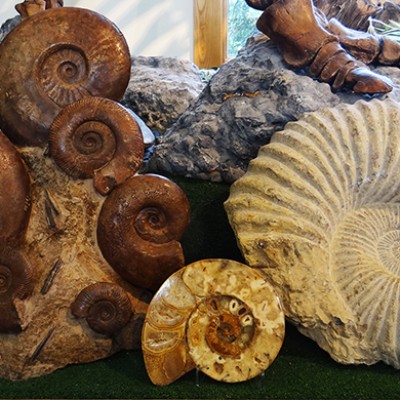 تکلیف برگی از تاریخ 2