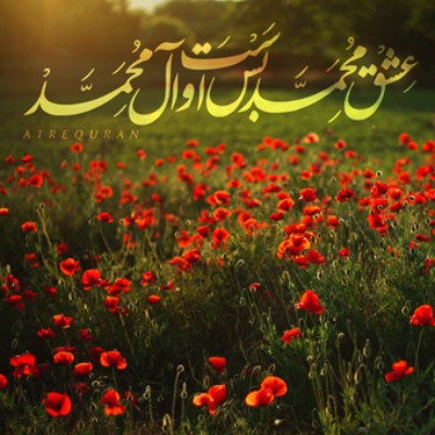 نویسنده: محبوبه خوانساری