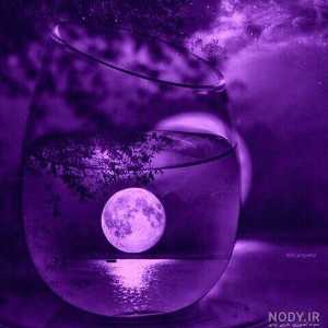 نازنین زهرا رسائی