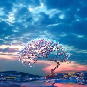 فاطمه جعفری